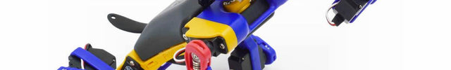 Robot quadrupède éducatif Petoi Bittle X levant une patte