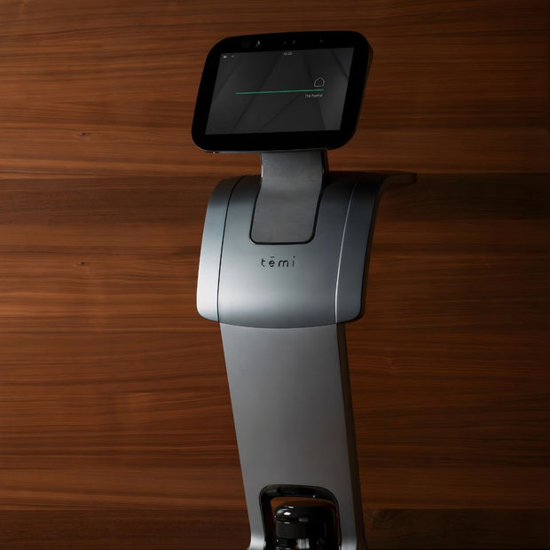 Robot assistant personnel temi