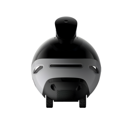 Robot de surveillance domestique Enabot EBO X