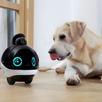 Robot de surveillance domestique Enabot EBO X