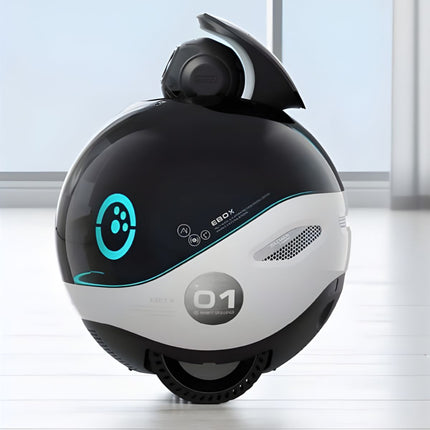 Robot de surveillance domestique Enabot EBO X