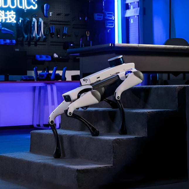 Robot Quadrupède Lite 3